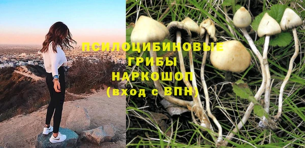 COCAINE Вяземский