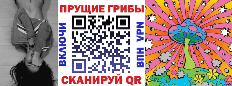 Купить где  Ясногорск  Галлюциногенные грибы Magic Shrooms 